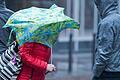 Sturmböen und Dauerregen prägen das Wetter in den nächsten Tagen im Landkreis.