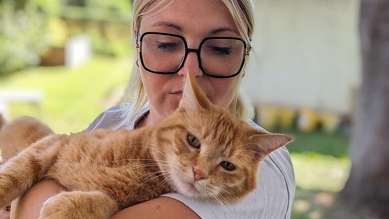 Kater Frank aus Karlstadt wurde zum zweiten Mal binnen einer Woche mit einem Luftgewehr angeschossen. Kater Frank aus Karlstadt wurde zum zweiten Mal binnen einer Woche mit einem Luftgewehr angeschossen.