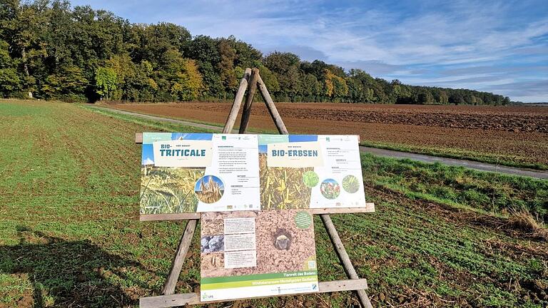 Am Natura Trail am Rande des Gadheimer Waldes schließt der 2,3 km lange Rundweg 'Bio-Landwirtschaft & Wildlebensräume' an, der seine Besucher auf 13 saisonal wechselnden Schildern über die Bio-Landwirtschaft informiert. Am Natura Trail am Rande des Gadheimer Waldes schließt der 2,3 km lange Rundweg 'Bio-Landwirtschaft & Wildlebensräume' an, der seine Besucher auf 13 saisonal wechselnden Schildern über die Bio-Landwirtschaft informiert.