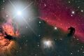 Galaxien im Blick: Der Sternengucker von Thüngersheim       -  Eine tierische Galaxie: Der Pferdekopfnebel.