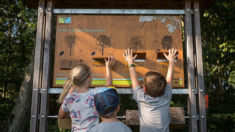 Entlang des Mittelwaldwegs bei Iphofen gibt es interaktive Infotafeln zum Wald. Entlang des Mittelwaldwegs bei Iphofen gibt es interaktive Infotafeln zum Wald.