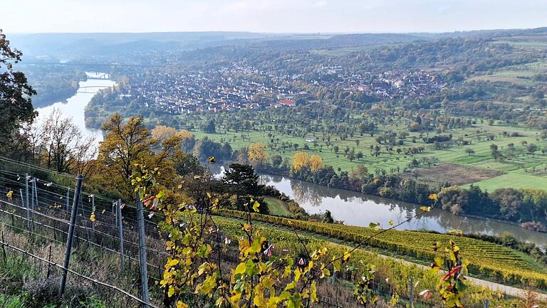 Blick auf dem Natura Trail oberhalb der Weinlage 'Ravensburg' auf Margetshöchheim. Blick auf dem Natura Trail oberhalb der Weinlage 'Ravensburg' auf Margetshöchheim.