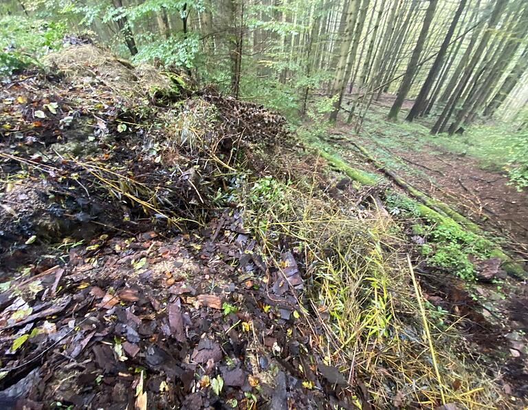 Seit Jahren wird an einer Stelle im Ruppertshüttener Wald unerlaubt Grünabfall abgelagert. Jetzt wurde ein Ablagerer auf frischer Tat ertappt. Seit Jahren wird an einer Stelle im Ruppertshüttener Wald unerlaubt Grünabfall abgelagert. Jetzt wurde ein Ablagerer auf frischer Tat ertappt.