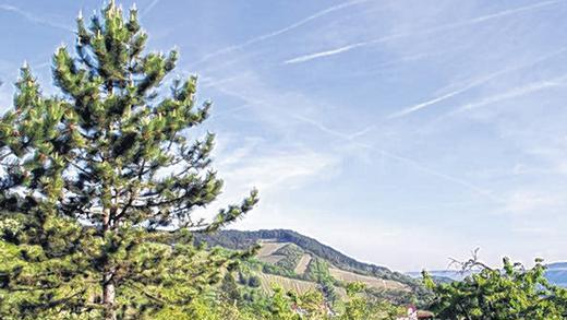 Volkenberg: Blick vom Steinbruch aus.