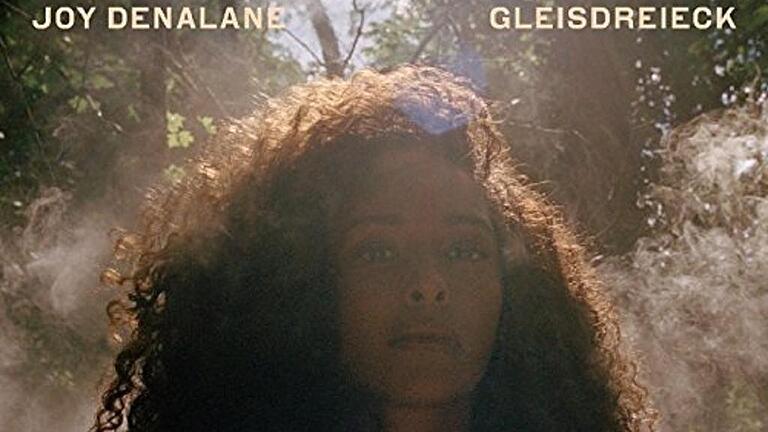 CD-Tipps       -  Joy Denalane: Gleisdreieck