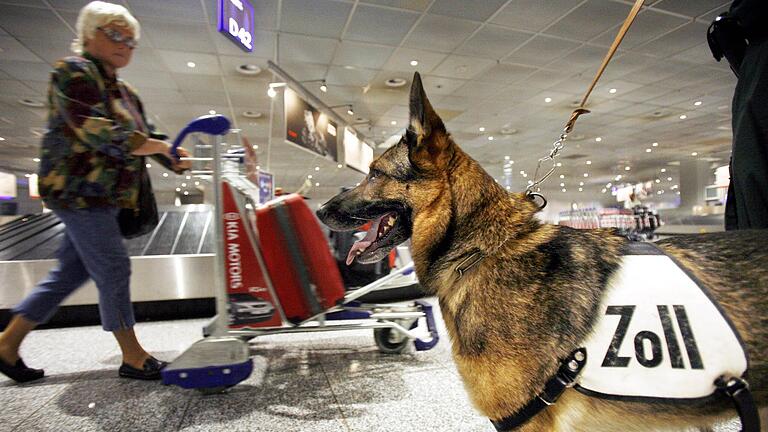 Weil ein Zollhund an seinem Gepäck schnüffeln sollte – hier ein Symbolbild – rastete ein 39-Jähriger aus und kündigte die Tötung des Tieres an.