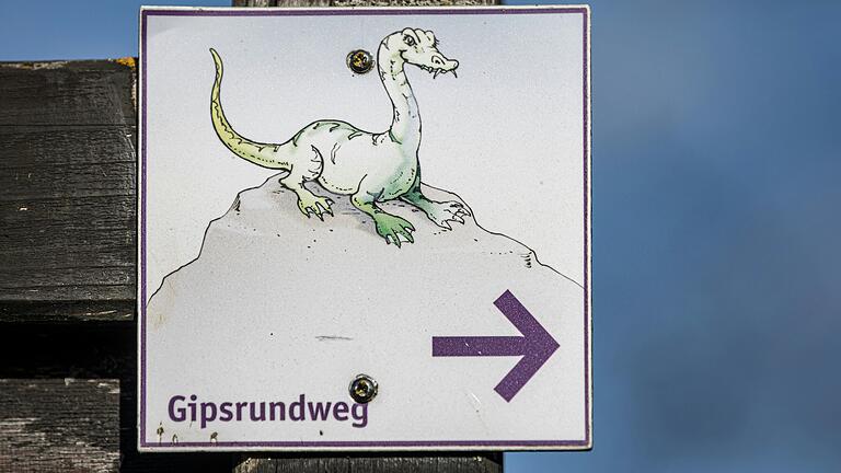 Im Bild: der kleine Dinosaurier Gipsi. Der Nothosaurus lebte vor rund 220 Millionen Jahren, genau zu der Zeit, als sich rund um Sulzheim eine dicke Gipsschicht bildete. Als Experte in Sachen Gips weiß er auf der Strecke viel zu erzählen. Im Bild: der kleine Dinosaurier Gipsi. Der Nothosaurus lebte vor rund 220 Millionen Jahren, genau zu der Zeit, als sich rund um Sulzheim eine dicke Gipsschicht bildete. Als Experte in Sachen Gips weiß er auf der Strecke viel zu erzählen.