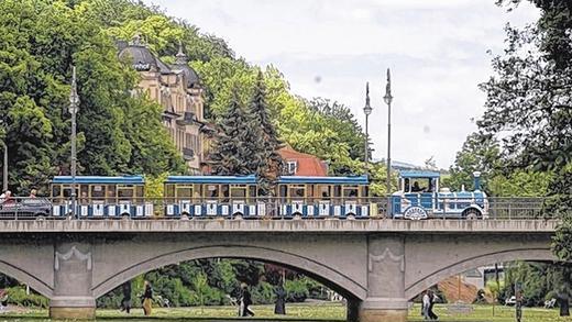 Bismarck und die Bienen