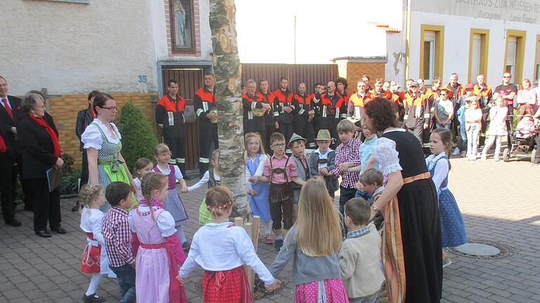Der Eußenheimer Maibaum ist traditionell eine Birke – wird sich das in Zukunft ändern müssen?