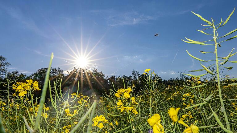 Viel Sonne erwarten die Meteorologen für die nächsten Tage in Unterfranken.