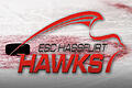 ESC Hassfurt Logo