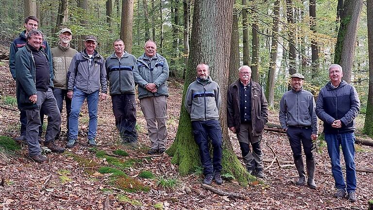 Die Waldexperten stehen unter den mächtigen Zerreichen im Gemeindewald in Eschau, die Bäume sind rund 150 Jahre alt und bilden laut Mitteilung eine hierzulande einzigartige Fläche.