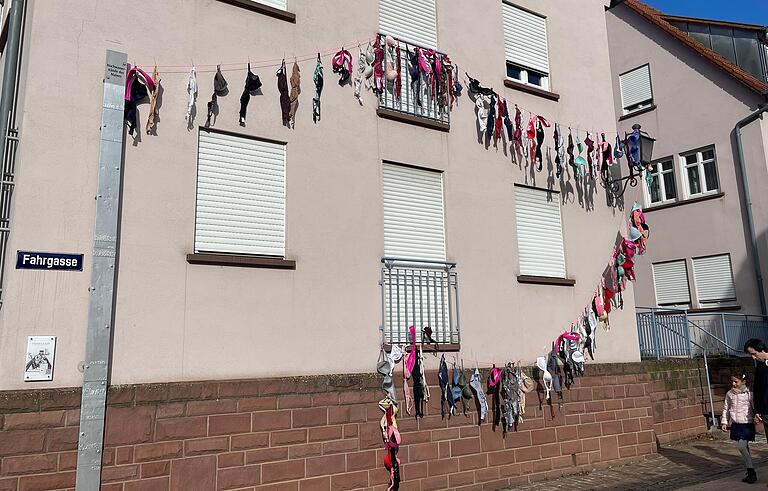 Die BH-Leine in der Fahrgasse wurde organisiert von Heike Brühl. Die BH-Leine in der Fahrgasse wurde organisiert von Heike Brühl.
