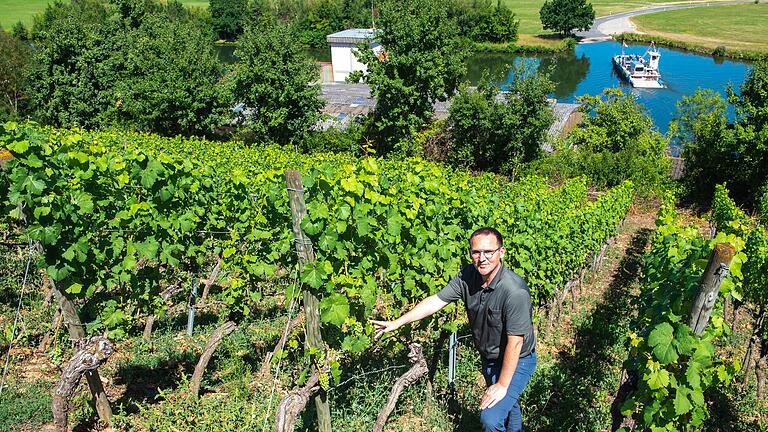 Bacchus und Spätburgunder werden im Gemeindewengert angebaut. Eine gute Mischung für einen Rotling. Bürgermeister Tobias Blesch rechnet mit 1000 Flaschen, die abgefüllt werden können.