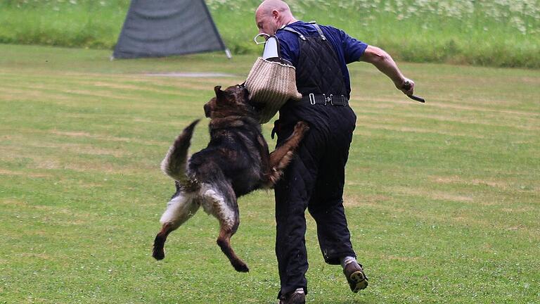 Hund und Mensch im Einsatz im Rahmen des Elmar Wehner-Gedächtniscups bei der SV OG Zeil.