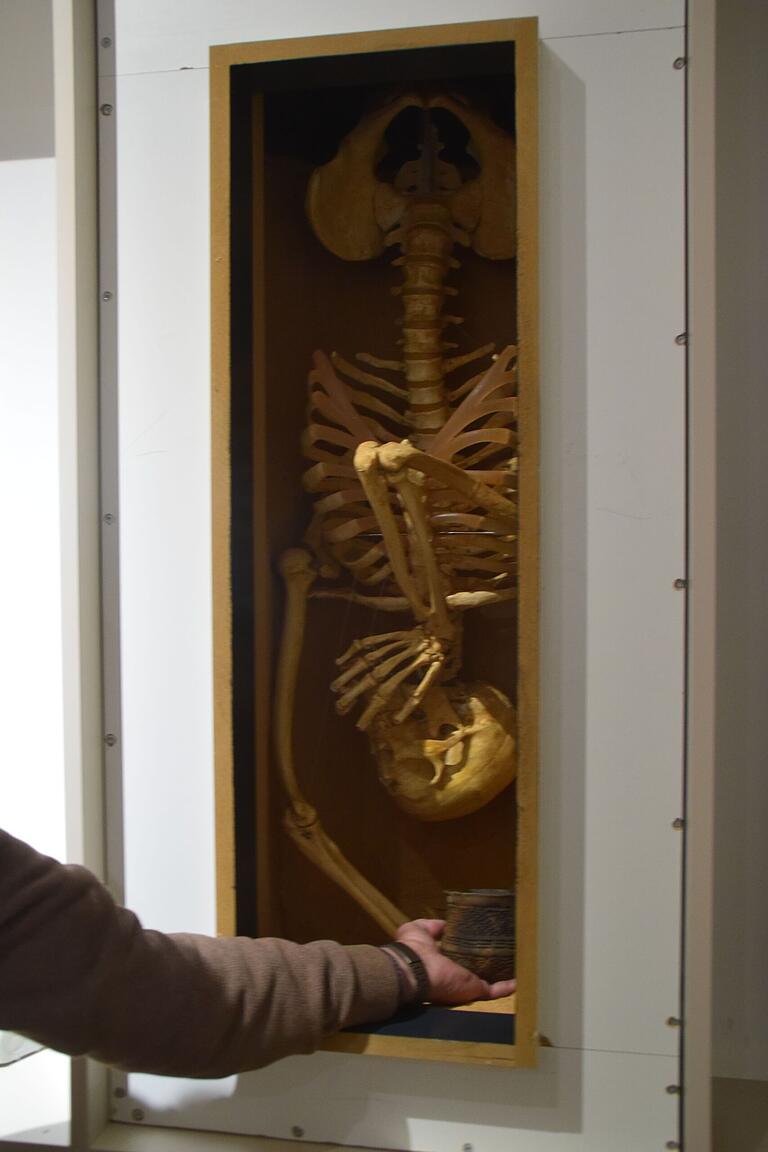 Die Nachbildung des Skeletts von Ippsi ist die weitere Attraktion. Die Nachbildung des Skeletts von Ippsi ist die weitere Attraktion.