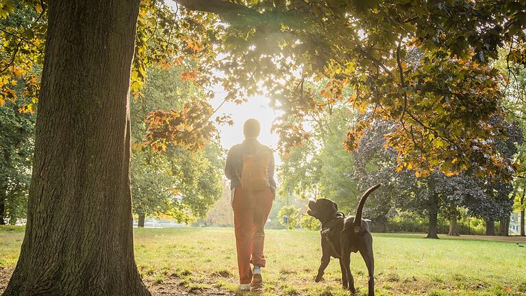 Eine Hund mit seinem Menschen.jpeg       -  Seriöse Züchter sind nicht immer leicht zu finden.