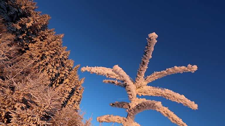 Morgenstimmung in Südbayern       -  Frost und gebietsweise Neuschnee erwartet der DWD auch in der Nacht auf Sonntag. (Archivbild)
