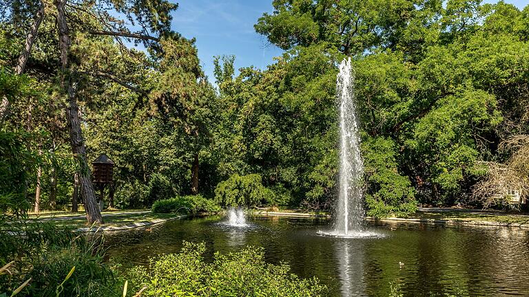 Blick auf den&nbsp; Ringpark in Würzburg: Millionen Liter Quellwasser fließen täglich vom Hauptbahnhof aus ungenutzt in den Main. Künftig wird damit gegossen. Der Bund gibt 1,25 Millionen Euro für das Projekt.