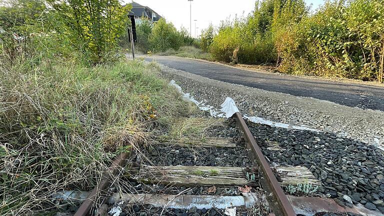 Bei dem Weg handelt es sich um eine temporäre Lösung. Sollte die Steigerwaldbahn reaktiviert werden, könnte der neue Bahnübergang ohne Beschädigung der Gleisanlagen zurückgebaut werden.