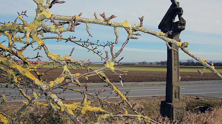 Moment ist es eher ein Kreuz mit der Flurneuordnung in Kolitzheim. Die von Michael Mäuser angeführten Gegner befürchten, dass die Natur als Verlierer vom Feld geht. Die Befürworter sind indes um einen Konsens bemüht.