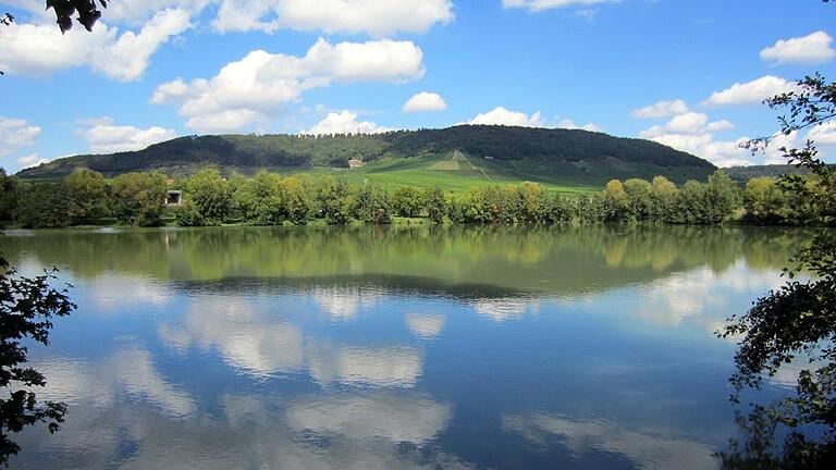 Der Blick vom Stadtsee in Iphofen auf den Schwanberg passt zu dem Verkauf von 146 Hektar Fläche auf den Höhen rund um das Schloss. Die Stadt ist jetzt größter Waldbesitzer auf dem 474 Meter hohen Berg.