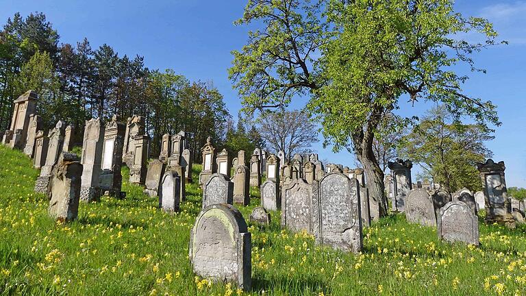 Die Anfänge des Verbandsfriedhofs der jüdischen Gemeinde am Kappelberg bei Gerolzhofen reichen ins späte 17. Jahrhundert zurück. Dort wurden verstorbene Juden aus der Stadt und umliegenden&nbsp; Gemeinden bestattet. Das letzte Begräbnis war 1942. Heute befinden sich dort 528 Grabstätten in 44 Reihen. Das Foto entstand im Frühjahr dieses Jahres.