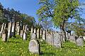 Die Anfänge des Verbandsfriedhofs der jüdischen Gemeinde am Kappelberg bei Gerolzhofen reichen ins späte 17. Jahrhundert zurück. Dort wurden verstorbene Juden aus der Stadt und umliegenden&nbsp; Gemeinden bestattet. Das letzte Begräbnis war 1942. Heute befinden sich dort 528 Grabstätten in 44 Reihen. Das Foto entstand im Frühjahr dieses Jahres.