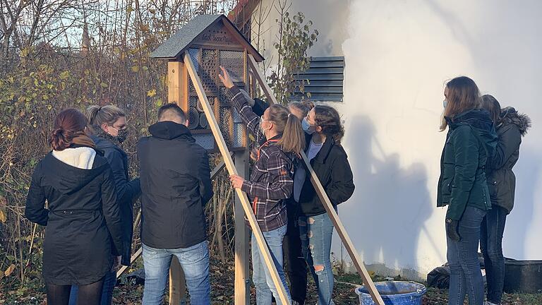 Das Bild zeigt die Schüler der Bomhard-Schule beim Aufstellen der Insektennisthilfe.