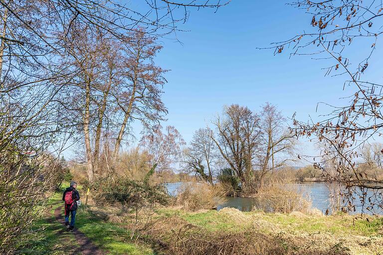Mehr als die Hälfte der Tour führt am Wasser entlang. Hier an einer Passage am Saurain am Main. Darunter versteht man einen naturnahen Pfad direkt am Ufer ohne jeglichen Verkehr. Mehr als die Hälfte der Tour führt am Wasser entlang. Hier an einer Passage am Saurain am Main. Darunter versteht man einen naturnahen Pfad direkt am Ufer ohne jeglichen Verkehr. 