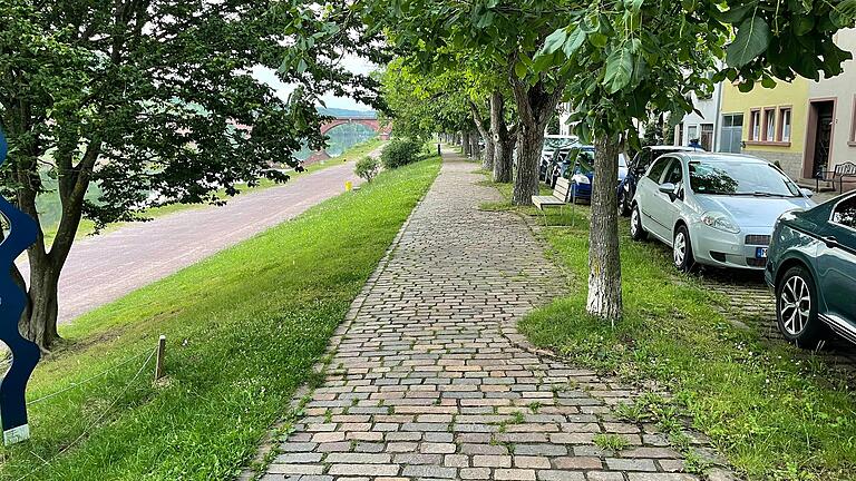 Besonders lobte der Planer den Weg oberhalb der Mainlände und schlug eine barrierefreie Begehbarkeit vor. Besonders lobte der Planer den Weg oberhalb der Mainlände und schlug eine barrierefreie Begehbarkeit vor.
