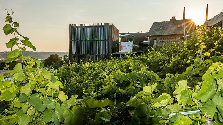 Das Weingut am Stein in Würzburg wurde mit einem besonderen Award ausgezeichnet.