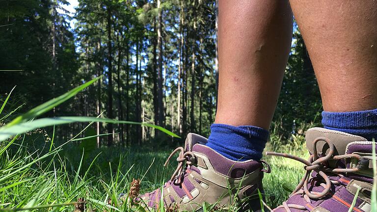 Spessartfährten: Einsam im Wald ist der Wanderer unterwegs, hier bei Lohrhaupten.