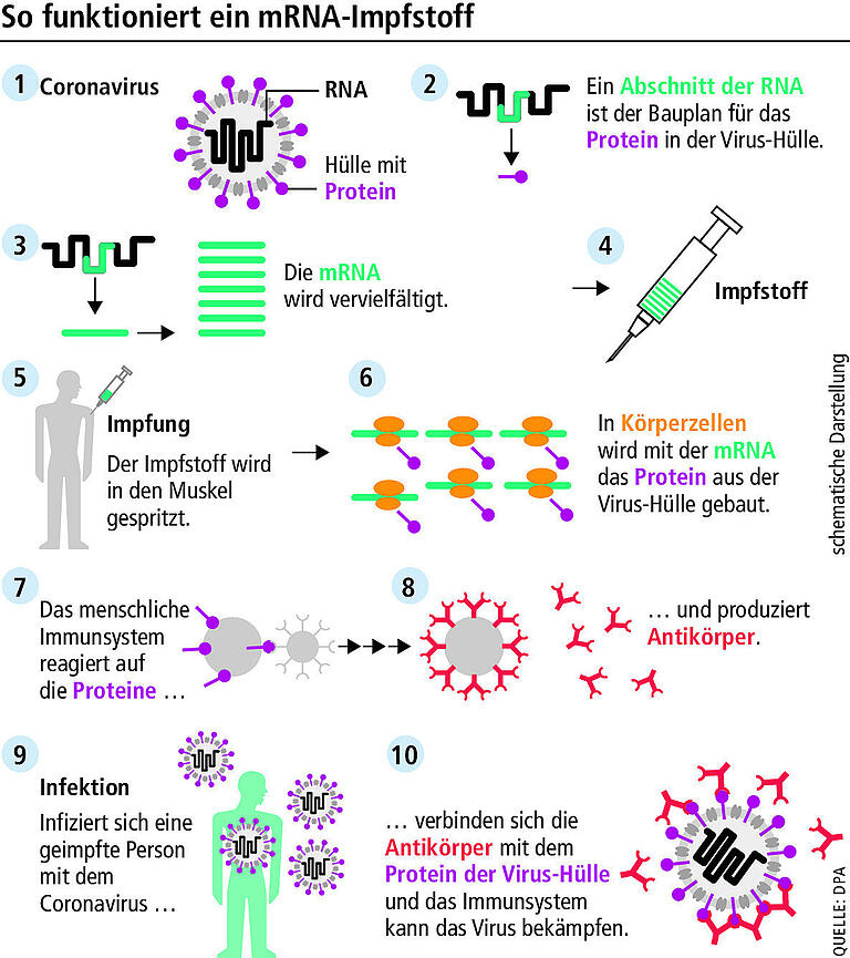 Corona-Impfung: Was ist bei Totimpfstoff anders als bei mRNA- und Vektor-Impfstoff?