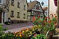 Typisch für die Lohrer Altstadt sind Pflanzkübel vor den Häusern. Das gilt in besonderer Weise für das Mainviertel und die dortige Fischergasse. Viele Tröge sind historisch und haben eine Vorgeschichte als Brunnenbecken.