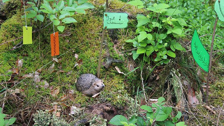 Kleine Hinweise säumen immer wieder den Elfenweg bei Untersambach. Kleine Hinweise säumen immer wieder den Elfenweg bei Untersambach.