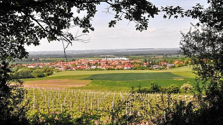 Traumhaft: Der Wanderweg bietet zahlreiche Ausblicke auf Abtswind.