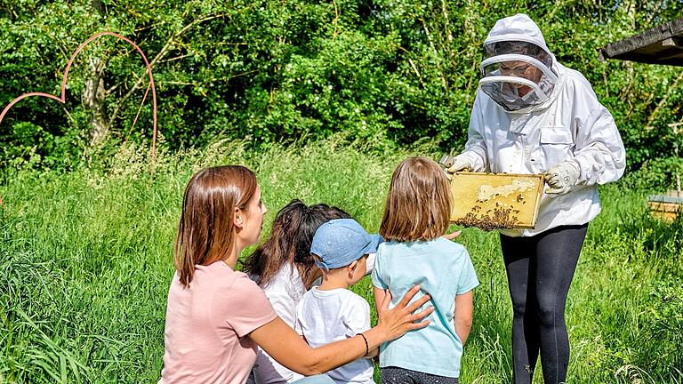 Für viele Kinder sind Bienen immer noch der Schrecken schlecht hin. Auf dem Reichelshof werden Bienen geschützt. Für viele Kinder sind Bienen immer noch der Schrecken schlecht hin. Auf dem Reichelshof werden Bienen geschützt.