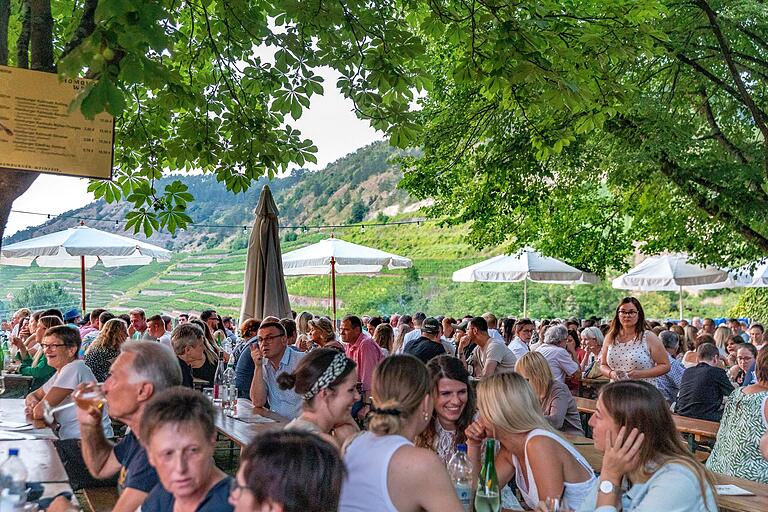 So schön war's 2022 : Das Homburger Weinfest ist jedes Jahr ein Publikumsmagnet. So schön war's 2022 : Das Homburger Weinfest ist jedes Jahr ein Publikumsmagnet.