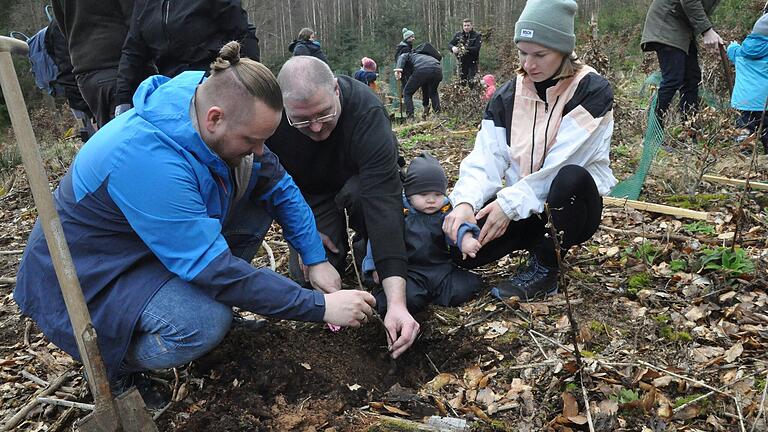 Stadtrat Michael Mühlfeld (Bildmitte) hilft der Familie Proß beim Pflanzen der Esskastanie. Stadtrat Michael Mühlfeld (Bildmitte) hilft der Familie Proß beim Pflanzen der Esskastanie.