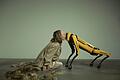 Tanzfestival 'ImPulsTanz' in Wien       -  Europas größtes Festival für zeitgenössischen Tanz widmet sich in diesem Jahr brennenden aktuellen Themen. Hier leckt die österreichische Künstlerin Silke Grabinger an einem Roboterhund.