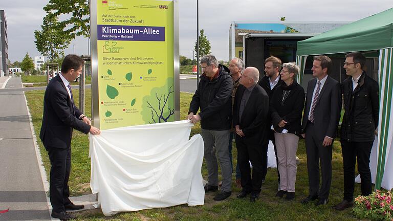 Informationen über robuste Stadtbäume: Oberbürgermeister Christian Schuchardt, Jürgen Eppel, Leiter des Instituts für Stadtgrün und Landschaftsbau, Dr. Philipp Schönfeld, Umweltreferent Wolfgang Kleiner,Christian Göpfert (Fachbereich Umwelt- und Klimaschutz), Dr. Susanna Böll, Baureferent Benjamin Schneider und Gartenamtsleiter Helge Bert Grob in der Klimabaumallee am Hubland.