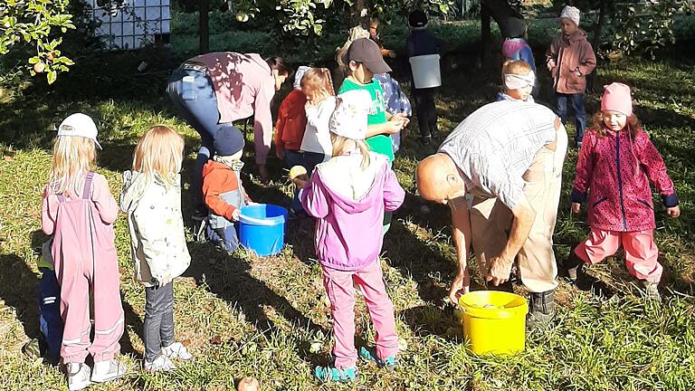 Die Kinder vom Kindergarten aus Wasserlosen durften Reinhold Hertlein aus Schwemmelsbach bei der Apfelernte behilflich sein und zusehen, wie Apfelsaft entsteht. Natürlich bekam jedes Kind nach erfolgreicher Ernte und dem Pressvorgang einen frischen Apfelsaft zur Belohnung mit heim.