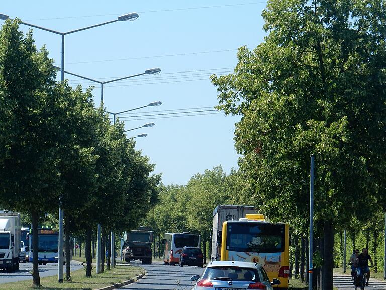 Mit dem Alleenkonzept hat sich die Stadt zu Neupflanzungen verpflichtet.