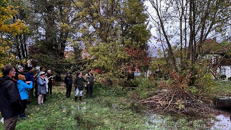 Entlang des Mühlbachs lernten die Teilnehmenden, wie man Biber kartiert.