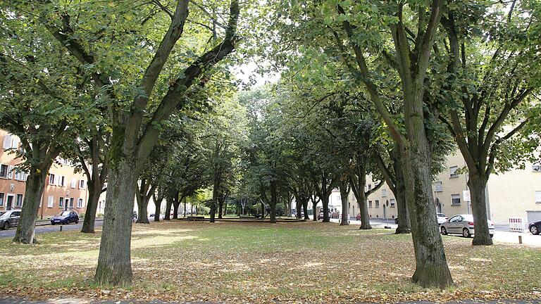 Von der ehemaligen Ledward Kaserne soll sich ein grünes Band beginnend mit dem Theodor-Fischer-Platz bis zum Main ziehen, das mit der Landesgartenschau 2026 fertig sein soll.