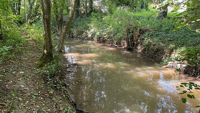 Auch in der Waisach in Pfarrweisach können Hunde baden und spielen. Auch in der Waisach in Pfarrweisach können Hunde baden und spielen. 