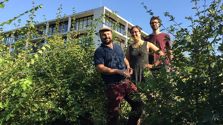 Nachhaltige Universität: Im studentischen Referat Ökologie setzen sich (von links) Pascal Bunk, Molina Klingler und Fabian Onkels für naturnahe Flächen und Kleinbiotope ein - wie hier unterhalb des zentralen Hörsaalgebäudes.