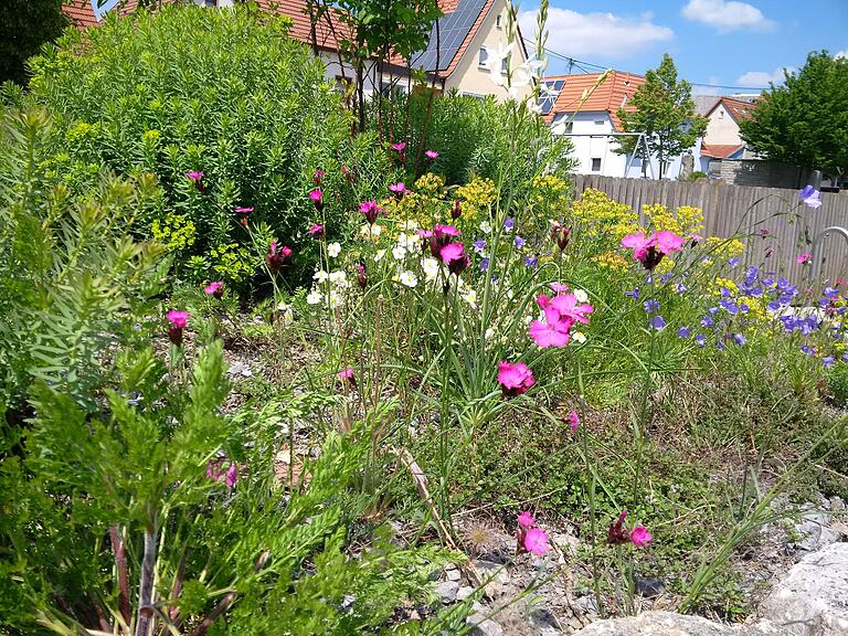 Der NaturSchauGarten in Himmelstadt. Der NaturSchauGarten in Himmelstadt.