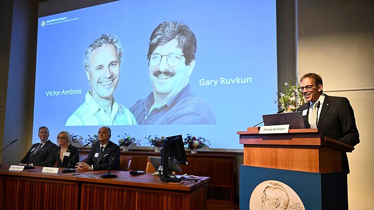 Bekanntgabe Nobelpreis 2024 – Medizin - Victor Ambros arbeitet an der University of Massachusetts Medical School, Gary Ruvkun an der Harvard Medical School sowie am Massaschusetts General Hospital. Bekanntgabe Nobelpreis 2024 – Medizin - Victor Ambros arbeitet an der University of Massachusetts Medical School, Gary Ruvkun an der Harvard Medical School sowie am Massaschusetts General Hospital.